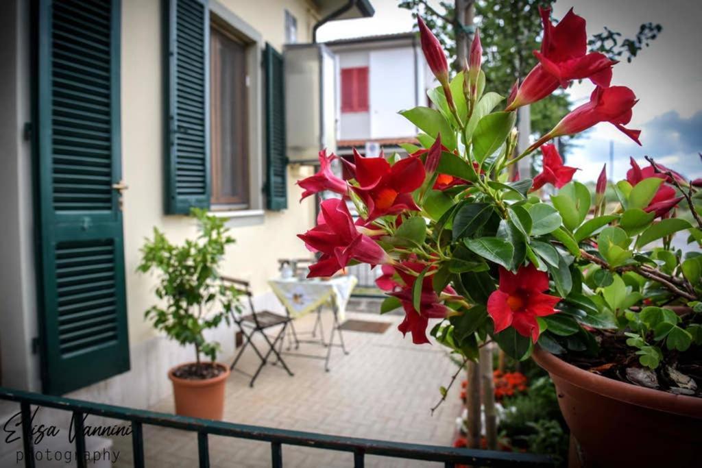 Casa Letizia Apartment Ponsacco Luaran gambar