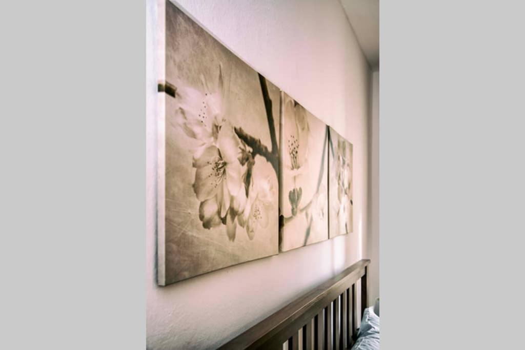 Casa Letizia Apartment Ponsacco Luaran gambar